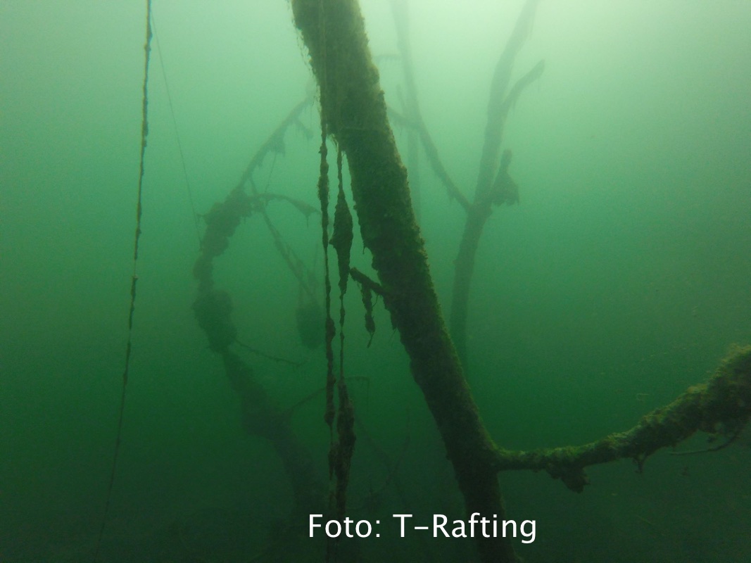 fantasfma-bilancino_12