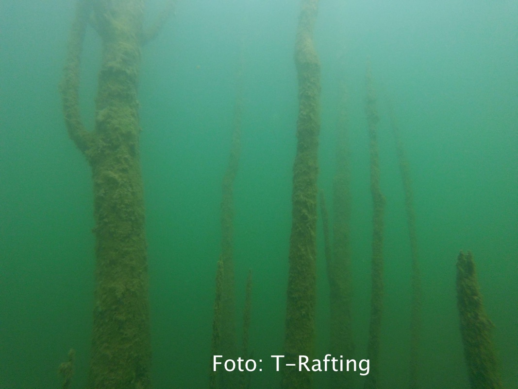 fantasfma-bilancino_13