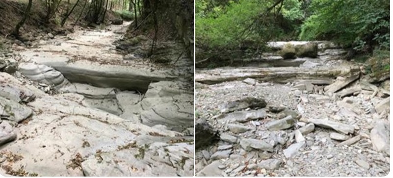 C'era una volta il Farfereta... Nuova Foto del giorno