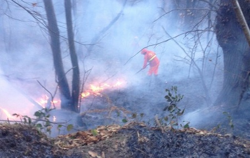 Incendio di Pulicciano, nuovi dettagli