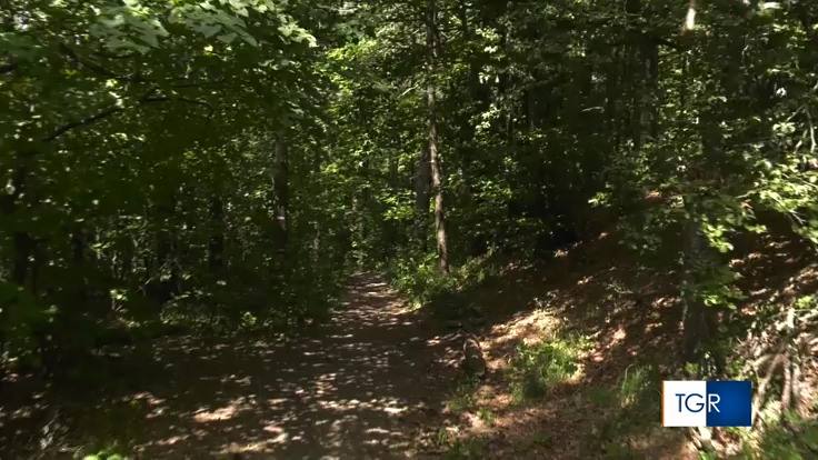 Simona Baldanzi al TG3. Una montagna di letture