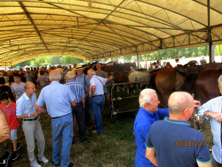 Vicchio, grande successo per la Fiera Calda 2017. Le foto