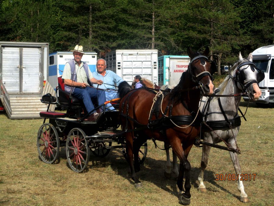 Vicchio, grande successo per la Fiera Calda 2017. Le foto