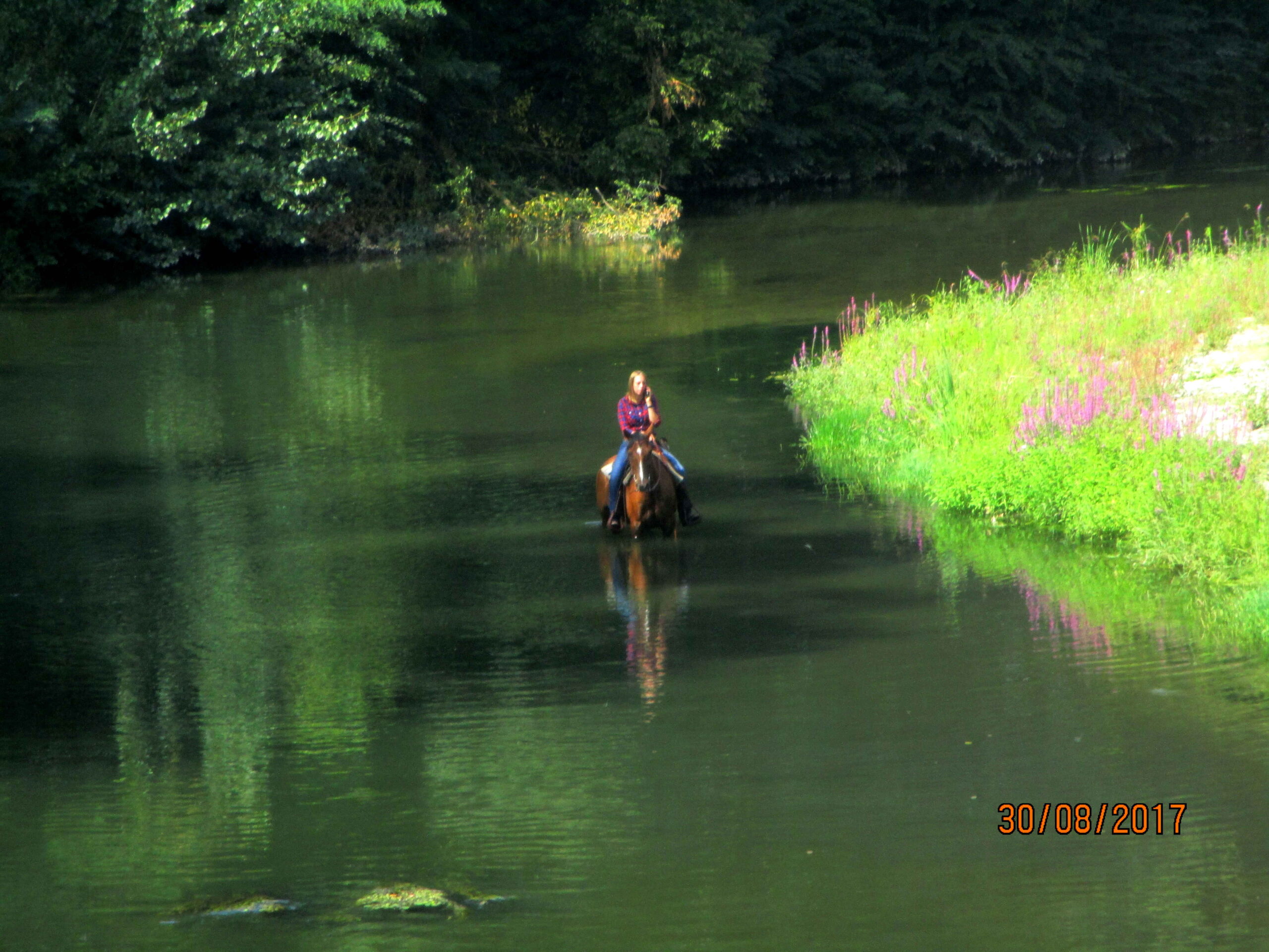 FOTO 8 Fiera Calda 2017