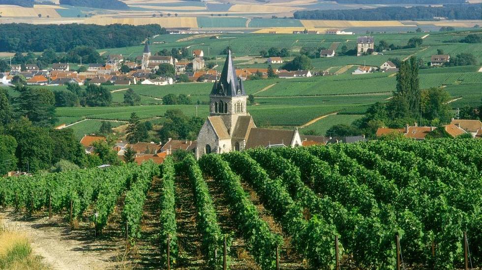 La Regione dello Champagne. Il racconto di Roberto Ciancolini