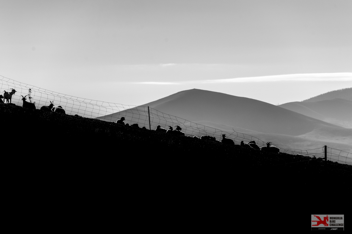 extreme-mongolia-2tappa9