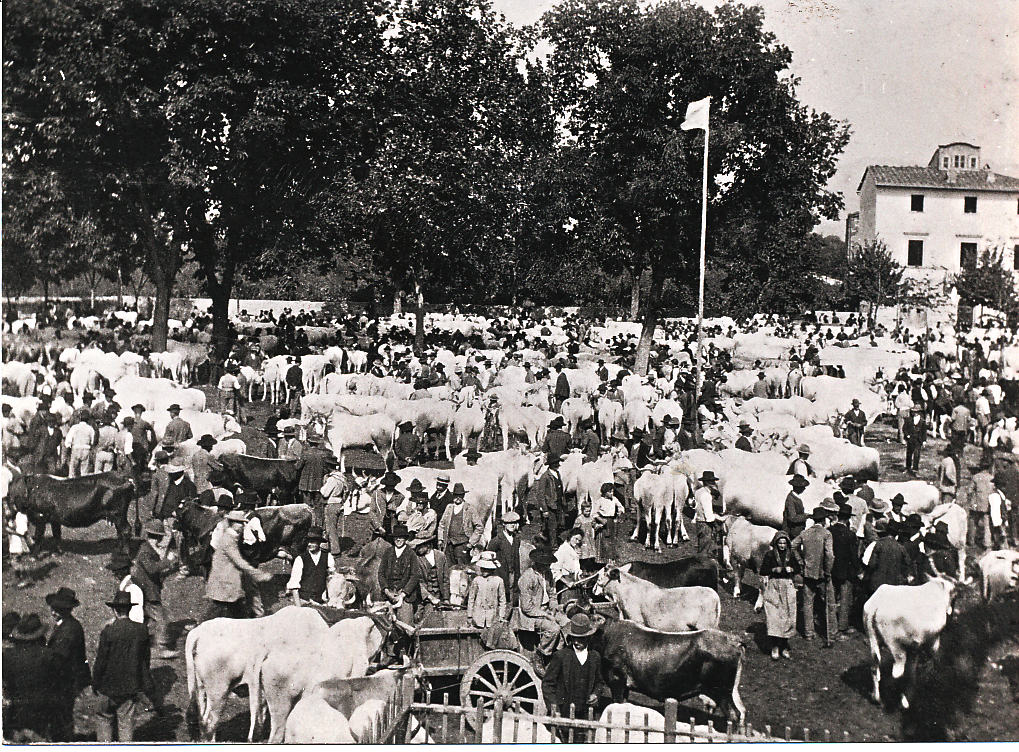 foto 1 fiera vicchio