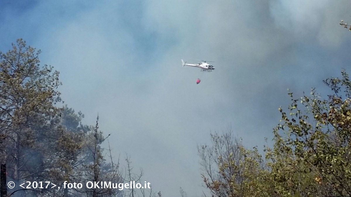 incendio_ampinana_02