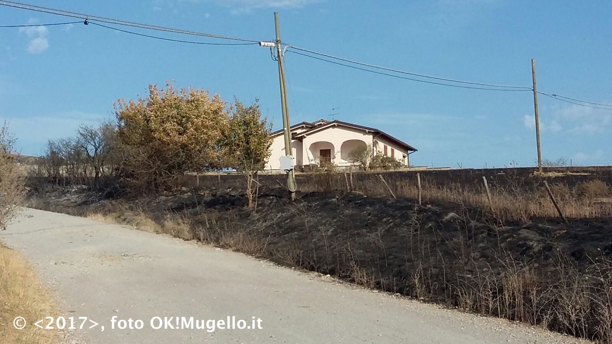 incendio_ampinana_04