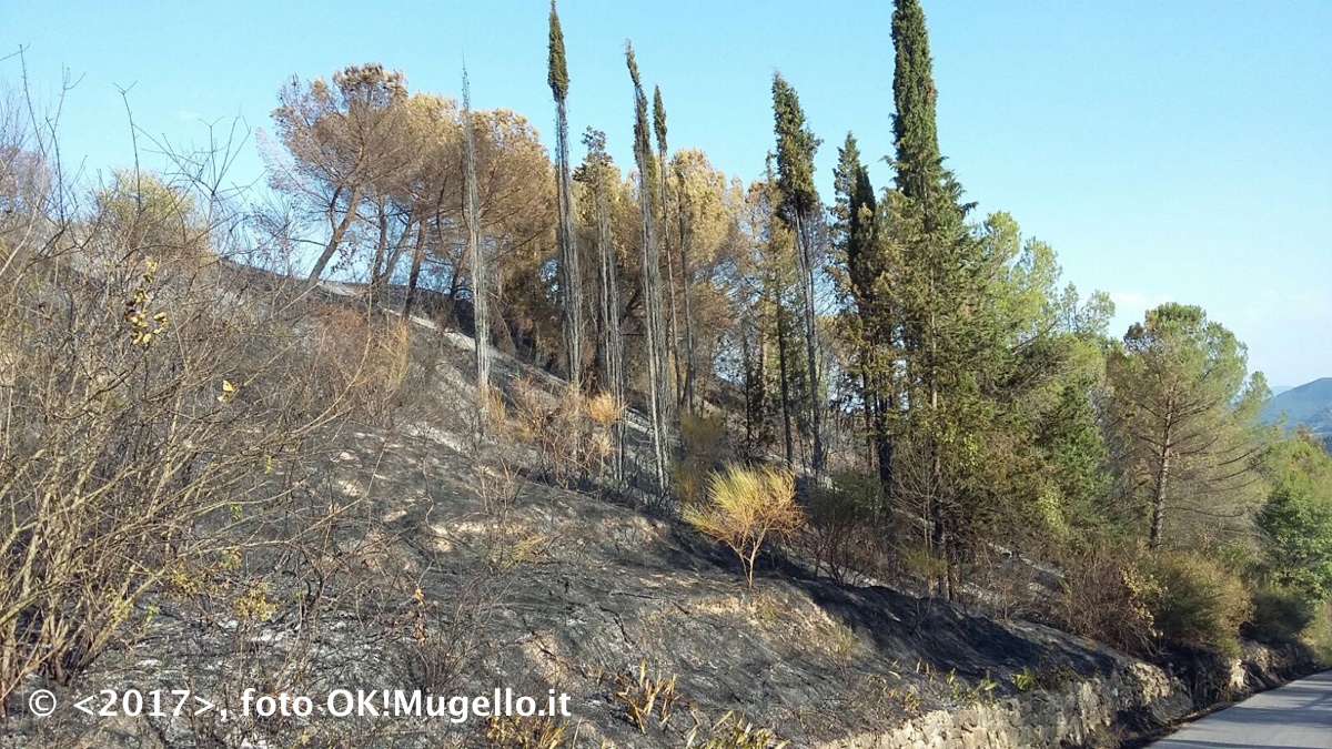 incendio_ampinana_05