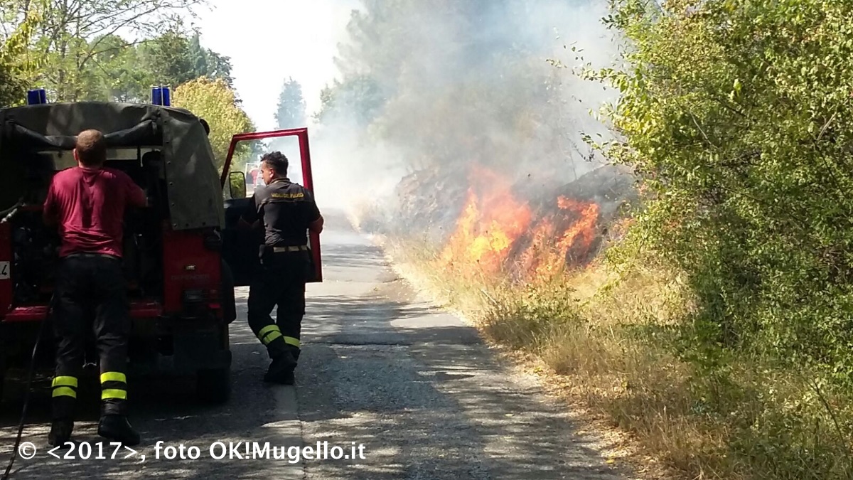 incendio_ampinana_06