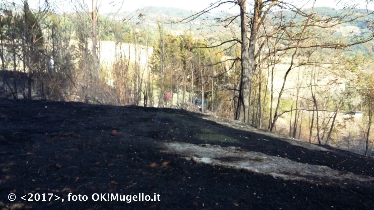 incendio_ampinana_07