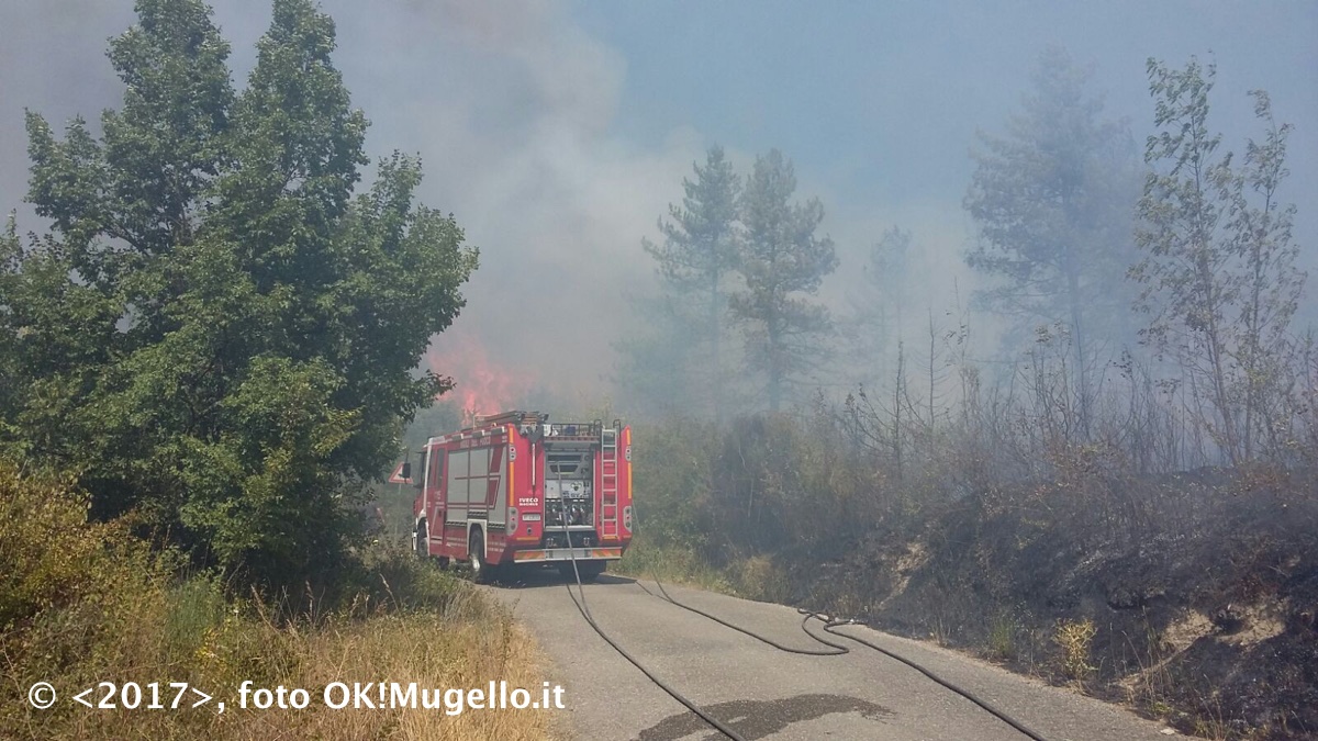 incendio_ampinana_08