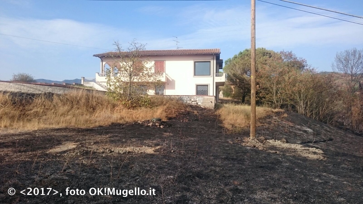 incendio_ampinana_11