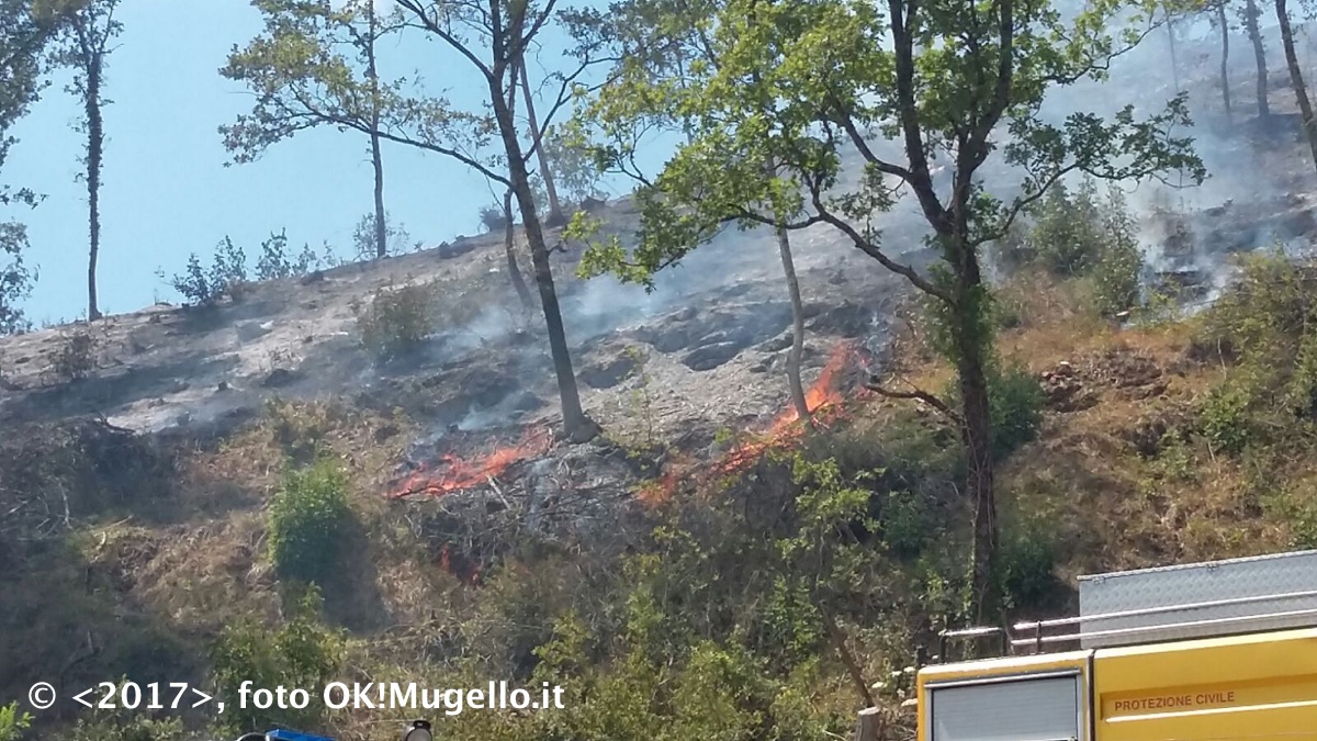 incendio_badia-Bovino-Vicchio2_4