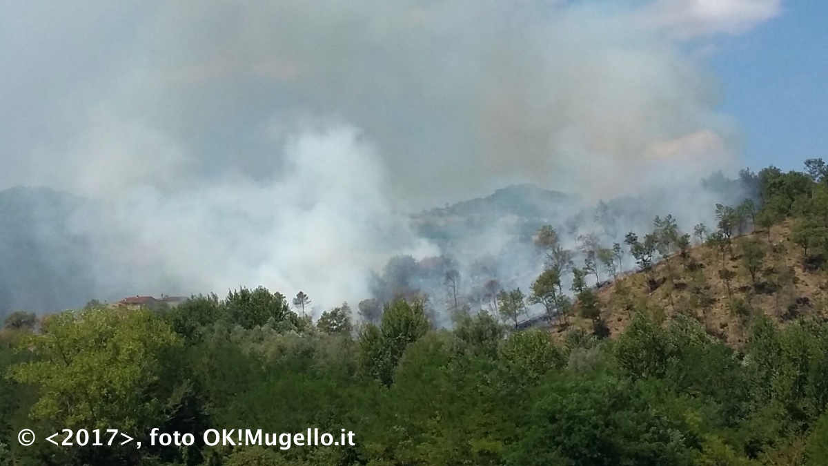 incendio_badia-Bovino-Vicchio_1