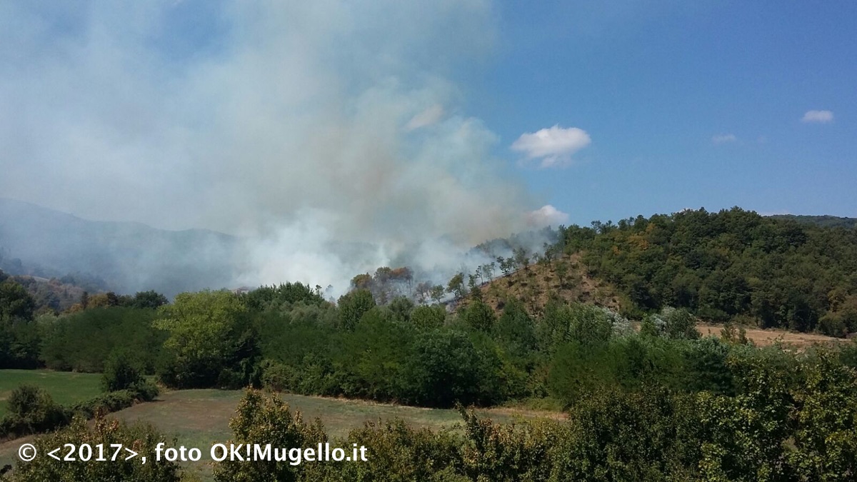 Nuovo incendio nel Comune di Dicomano in Località Bovino. Le foto