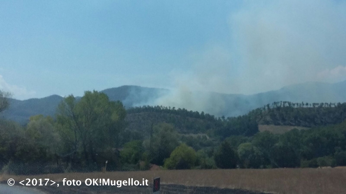 incendio_badia-Bovino-Vicchio_3