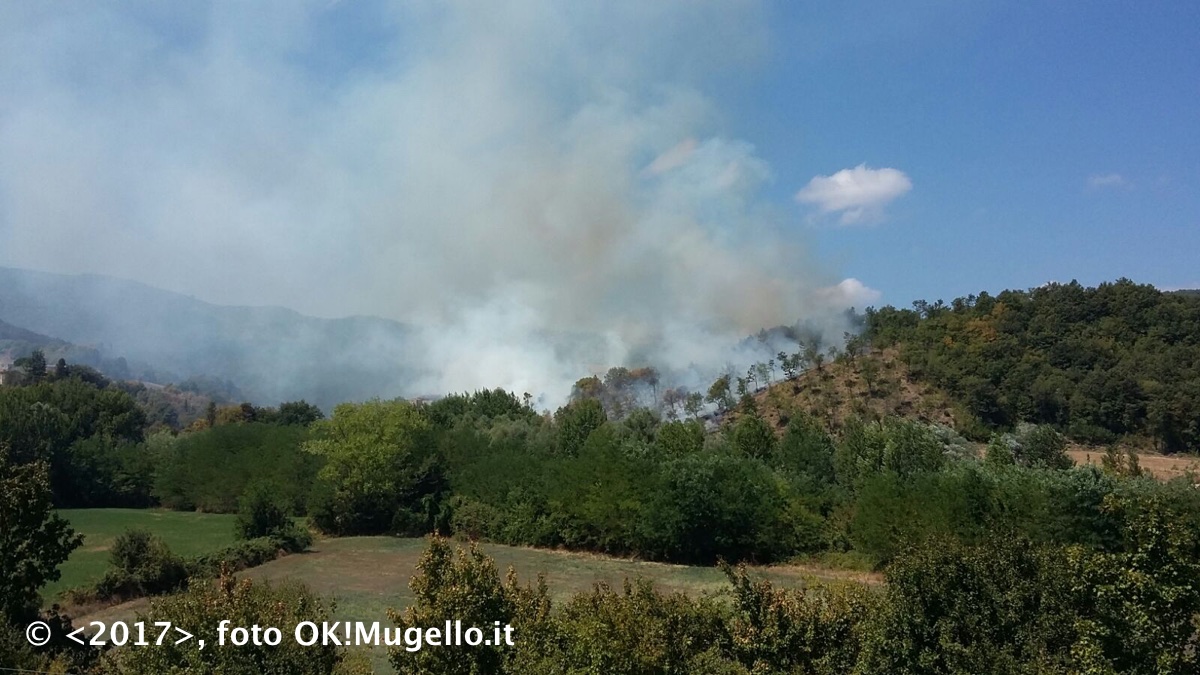 incendio_badia-Bovino-Vicchio_4