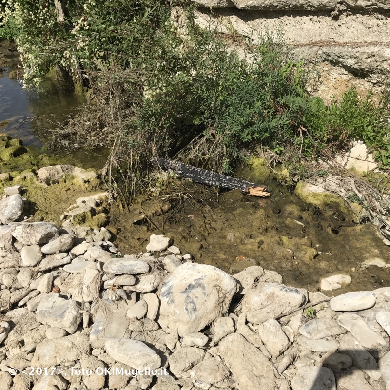 Carza, ecco cosa resta del torrente dimenticato. Parliamone di domenica, con le riprese aeree