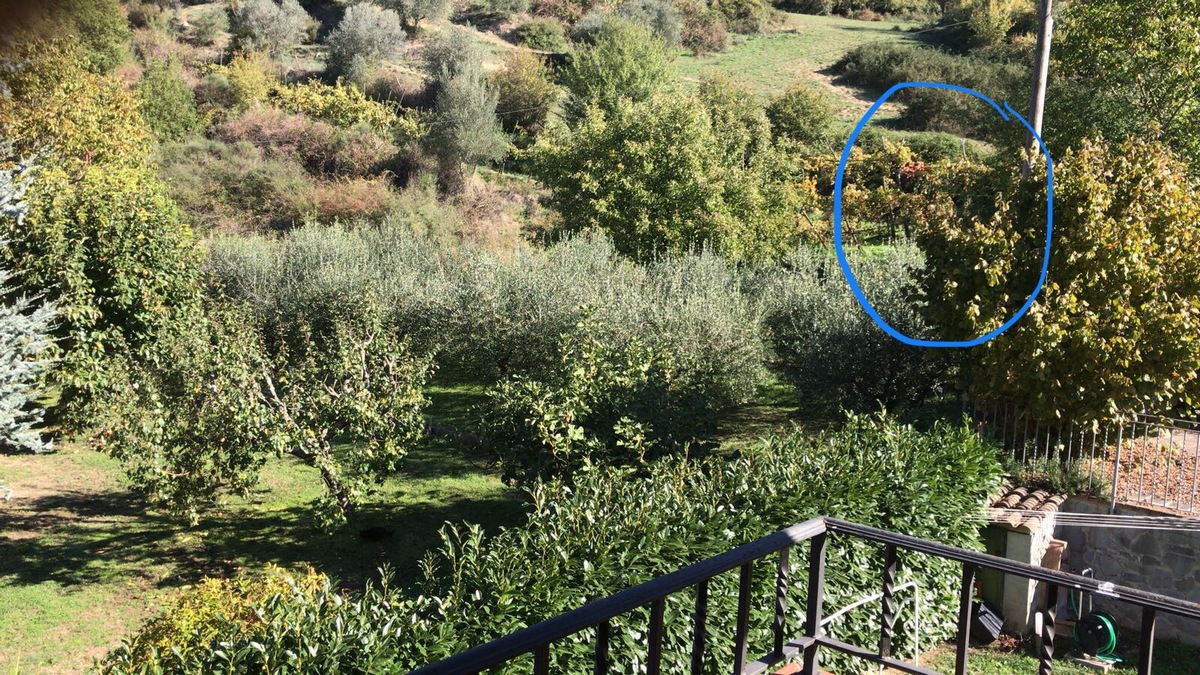 Cacciatori troppo vicini alle case? Polemiche a Grezzano