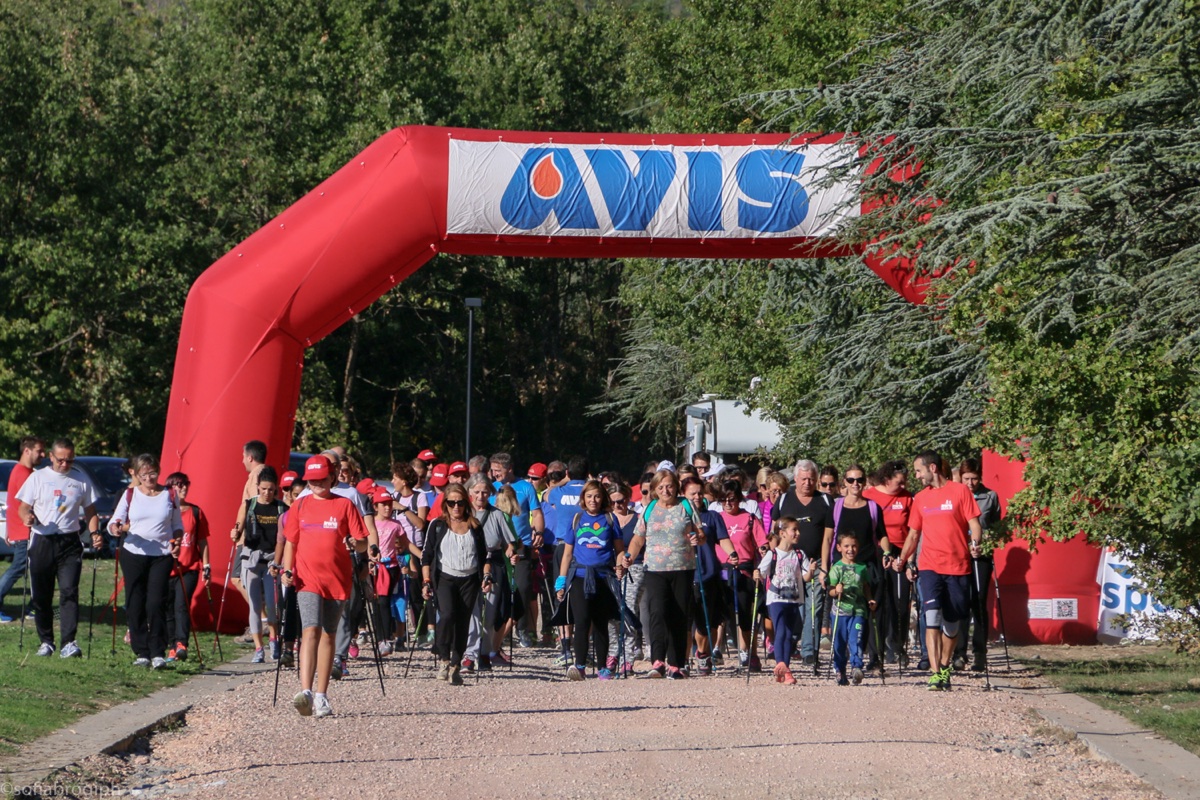 nord-walking-pineta_2