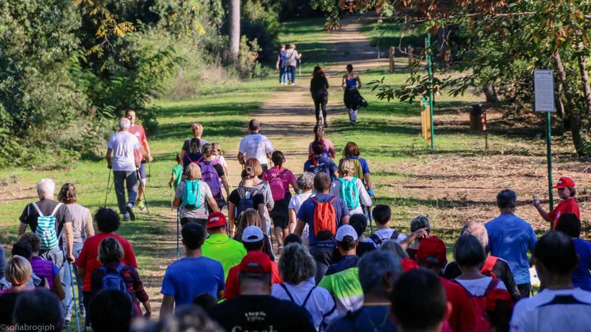 nord-walking-pineta_3