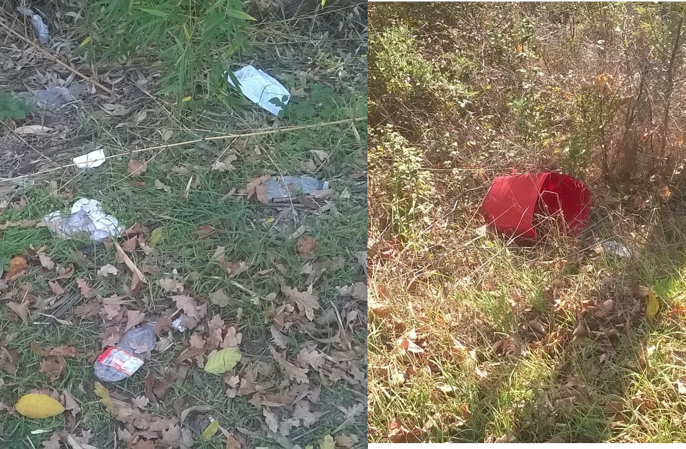 Una tranquilla passeggiata nell'immondizia (tra Vicchio e Borgo). Lettera aperta