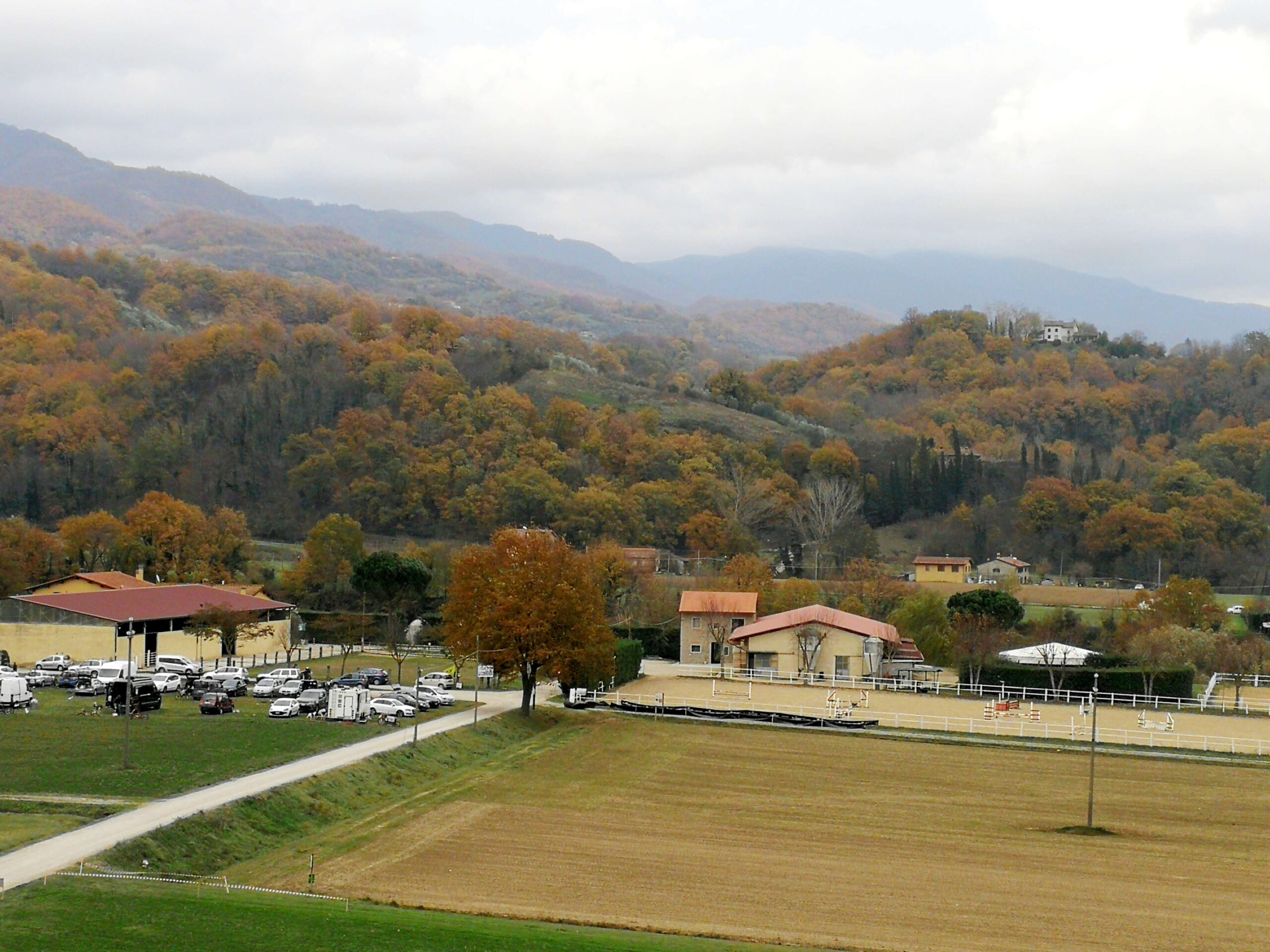 A Vicchio, Gran Premio Sleddog su terra