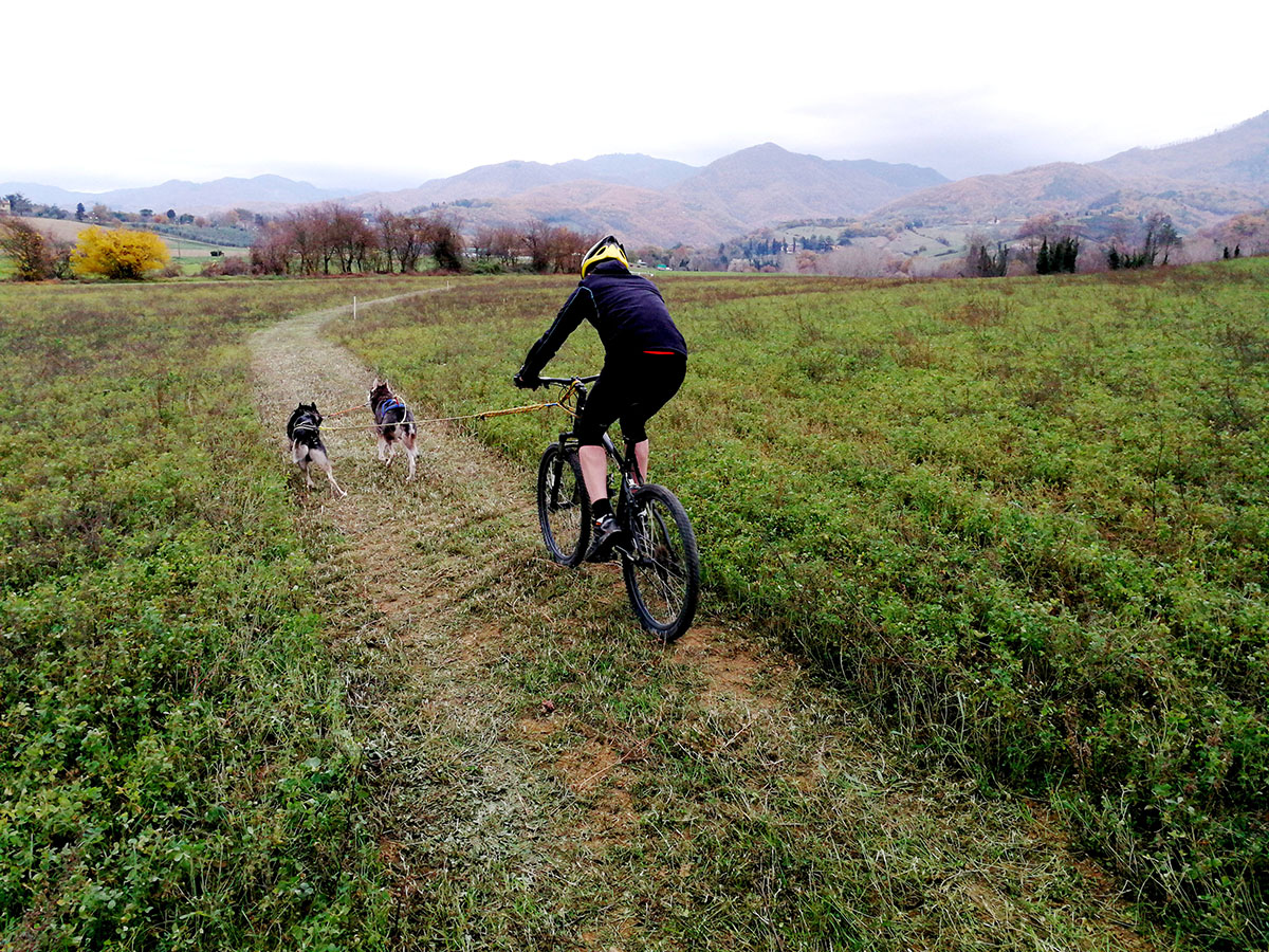 A Vicchio, Gran Premio Sleddog su terra