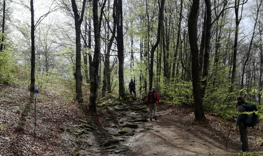 'La mia Via degli Dei'. Partecipa al concorso fotografico, come fare