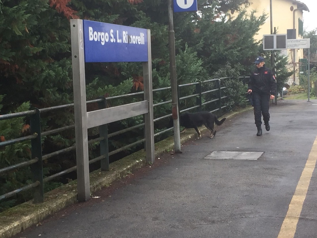 controlli rimorelli3