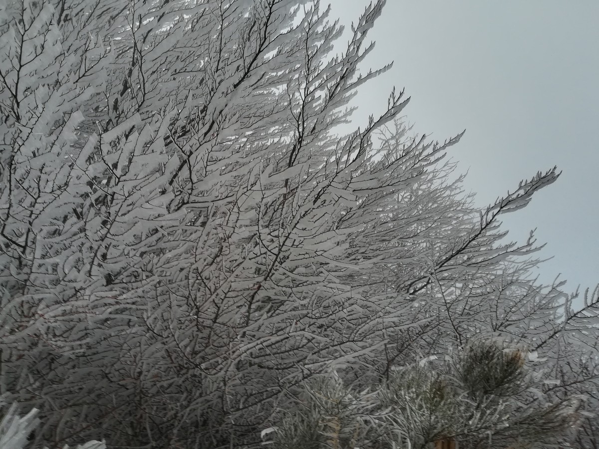 La magia della 'galaverna' a La Sambuca. Foto da favola