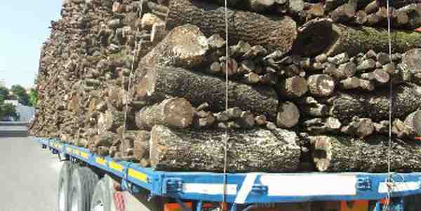 Camioncino perde due tronchi, finiscono su un'auto, Nessun ferito