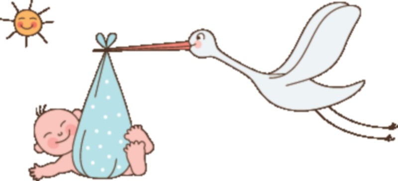 2017. 425 i bimbi nati a Borgo, gli auguri di OK!Mugello