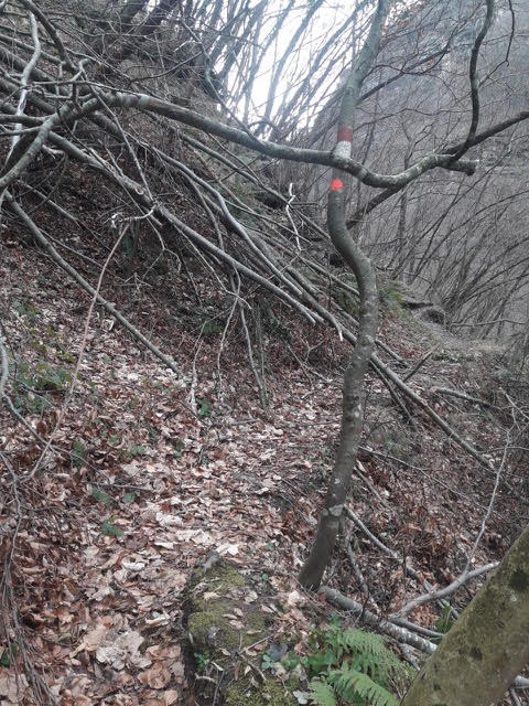 sentieri danneggiati 1