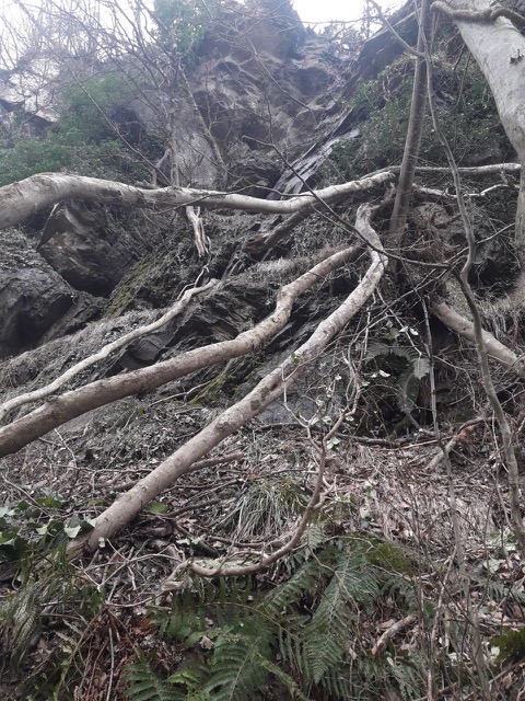 sentieri danneggiati 2.jpg