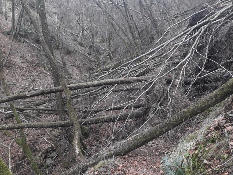 sentieri danneggiati 5.jpg