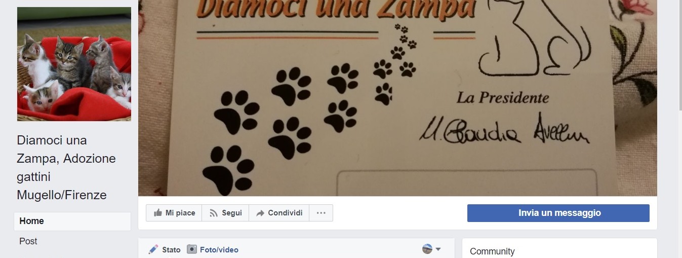 Diamoci una zampa. L'associazione e i problemi di chi accudisce cani e gatti in Mugello