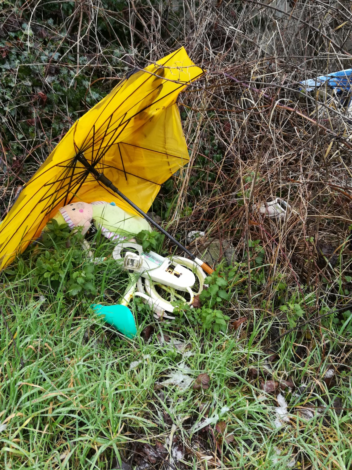 Una piccola 'discarica', sotto il muro delle case. Accade a Luco, foto