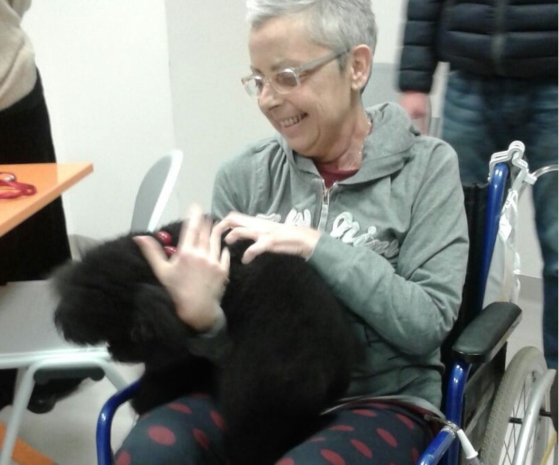 Anche a Borgo i cani potranno visitare i padroni ricoverati