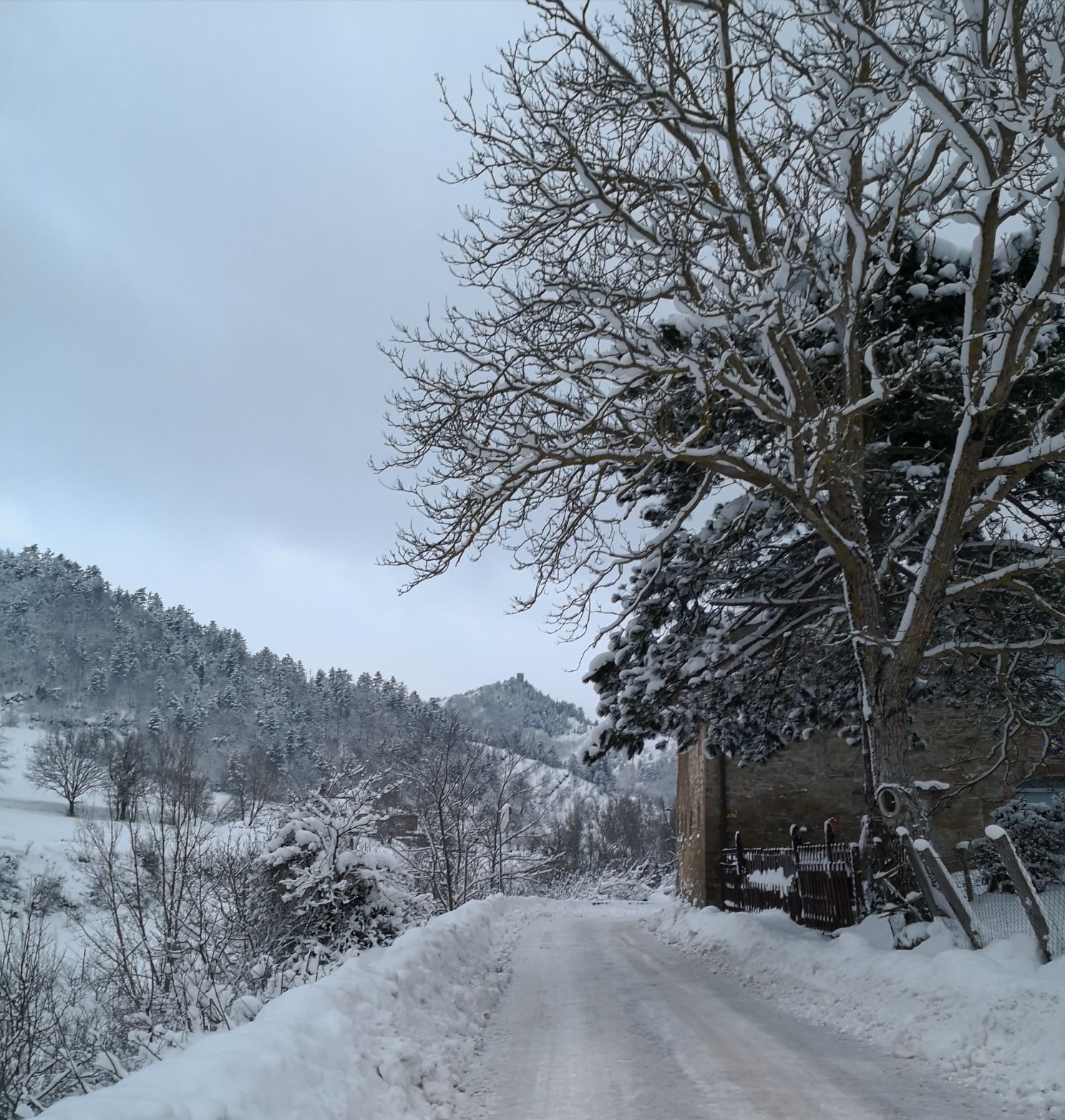 marradi 2018 12