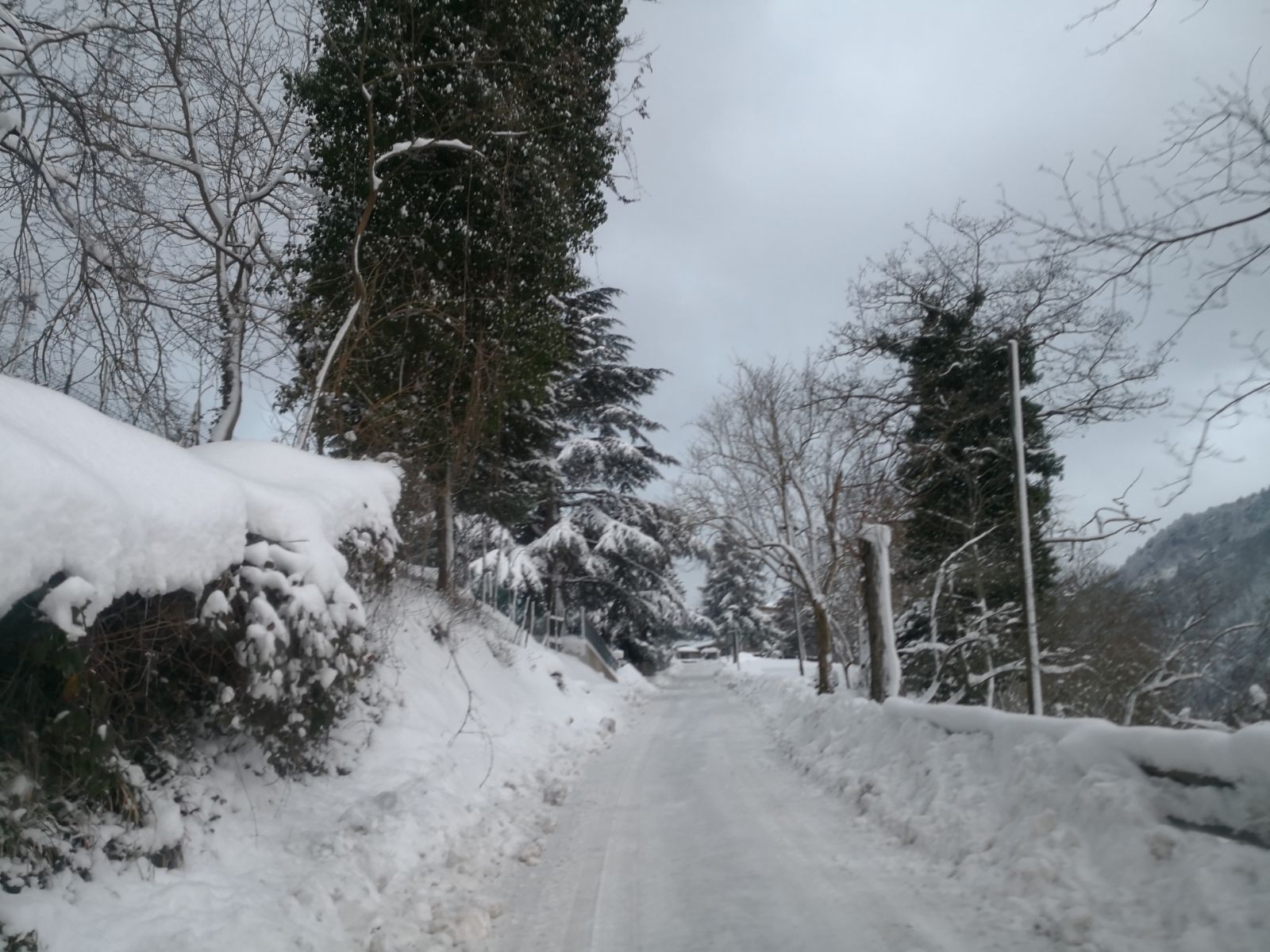 marradi 2018 14