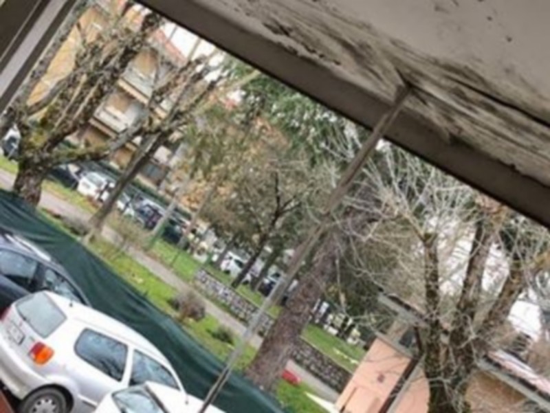 plesso viale pecori giraldi