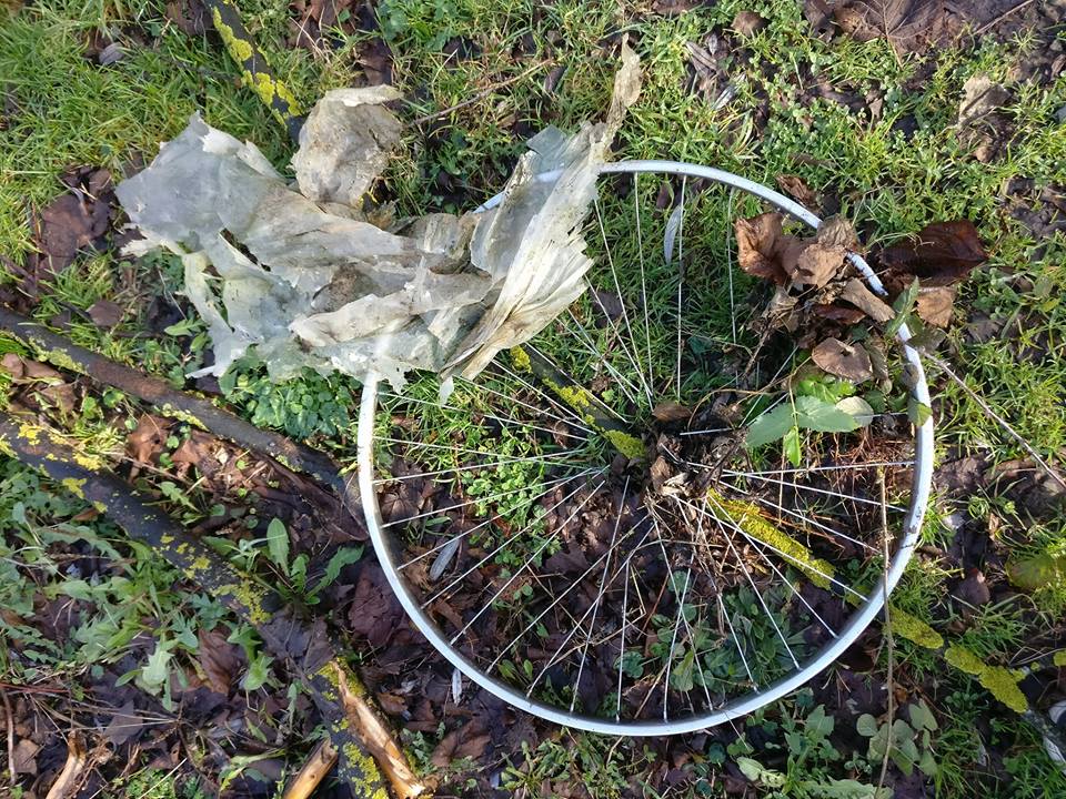 verde nostro febbraio 2018 5