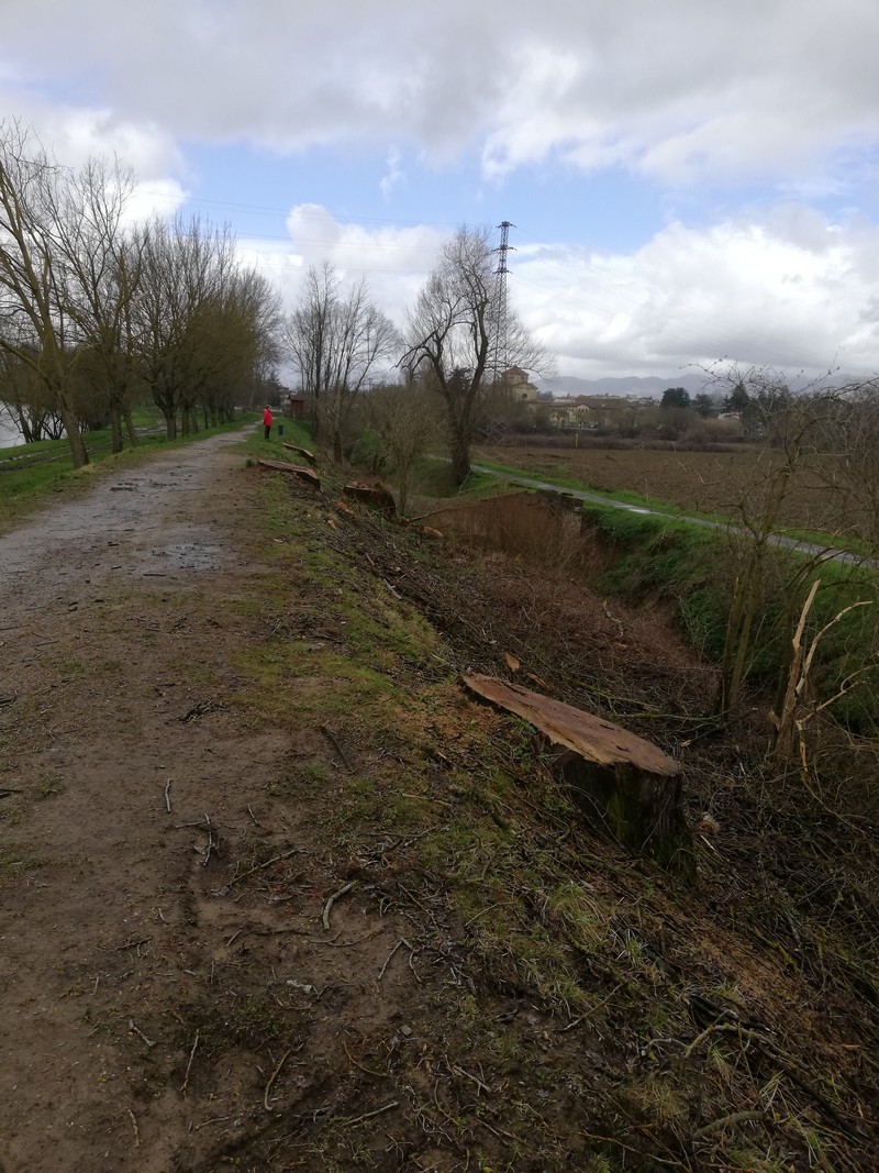 Lettori reporter. Smottamento in prossimità della ciclabile