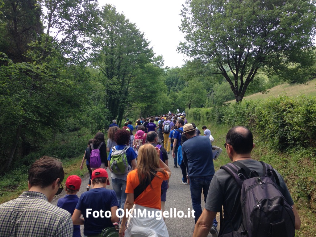 Trekking. Sabato 10 a Barbiana con il Gev, sui sentieri di Vicchio