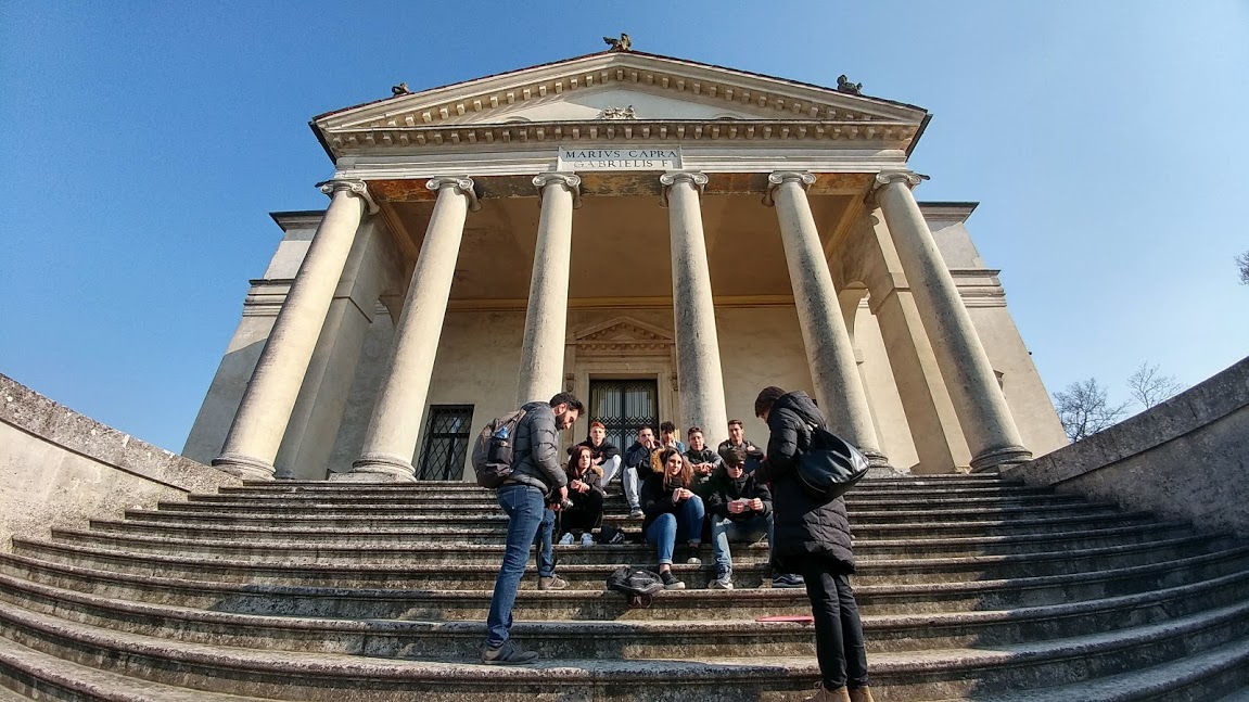 viaggio giotto ulivi3