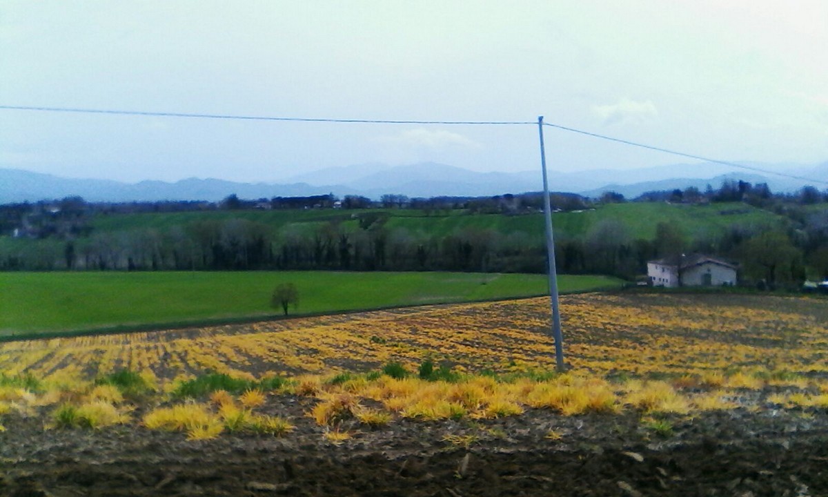 Diserbanti in Mugello, torna la polemica... alla faccia del biologico
