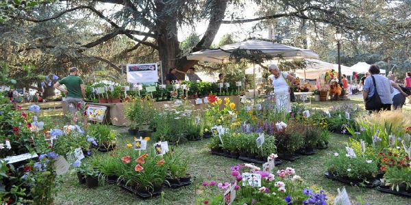 Fiorinfiera e Dalla soffitta alla cantina 'invadono' Borgo San Lorenzo nel fine settimana